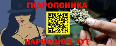 mdpv Новозыбков