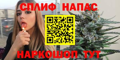 Альфа ПВП Новодвинск