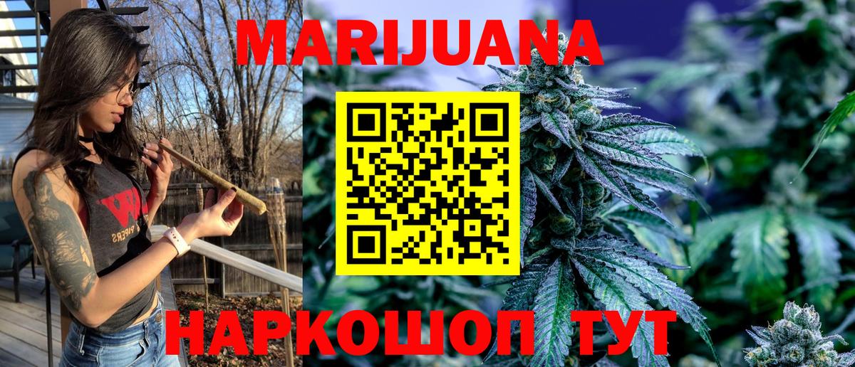 Конопля план Черногорск